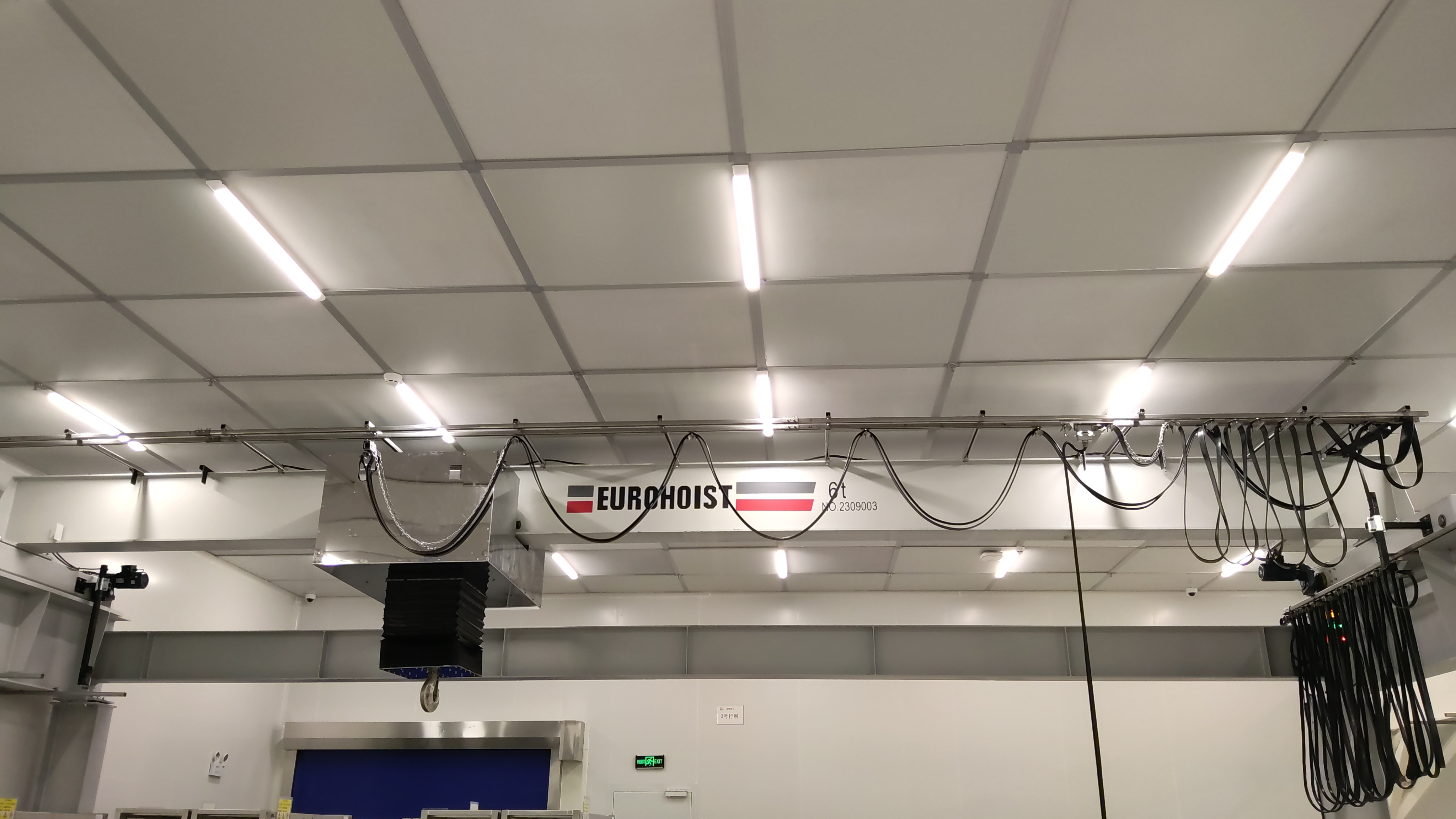 EUROHOIST洁净室起重机桥架与葫芦